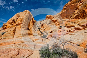 Colorful desert landscape in valley of fire