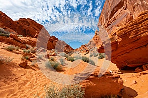 Colorful desert landscape in valley of fire