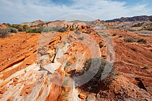 Colorful desert landscape in valley of fire