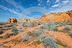 Colorful desert landscape in valley of fire