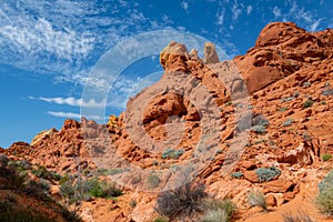 Colorful desert landscape in valley of fire