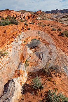 Colorful desert landscape in valley of fire