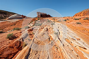 Colorful desert landscape in valley of fire