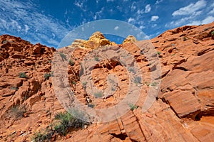 Colorful desert landscape in valley of fire