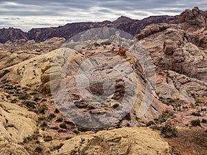 Colorful desert rock formations