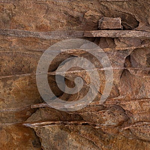 Colorful desert rock formations