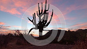 Colorful Desert Sunrise Time Lapse In Scottsdale Arizona With Cactus