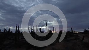 Colorful Desert Sunrise Time Lapse In Scottsdale Arizona With Cactus