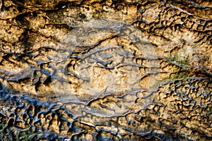 Colorful detail of a special stonewall