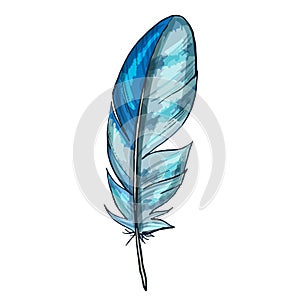 Colorful detailed blue bird feather, isolated on white background, Vector illustration.