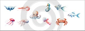 Colorful and Detailed Illustration of Various Sea Creatures Including Stingray, Shrimp, Octopus, Jellyfish, Seahorse