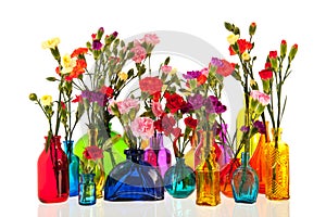 Dianthus flowers in bottles photo
