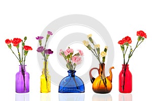 Colorful Dianthus in little glass vases photo