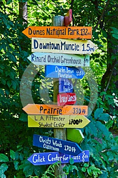 Colorful Directional Signpost at Educational Campus