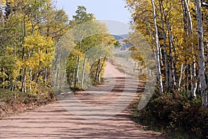 Colorful dirt road