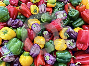 A colorful display of organic bell peppers at a farm market stall in southern California