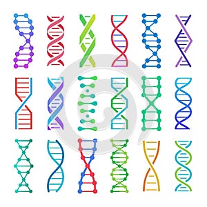 Colorful DNA icon. ADN structure spiral, deoxyribonucleic acid medical research and human biology genetics code vector