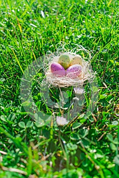 Colorful dotted Easter eggs in a straw nest on fresh green grass and clovers