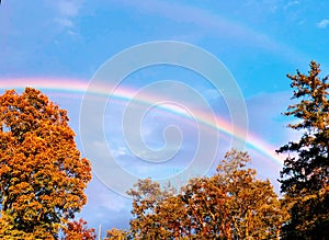 Colorful double rainbow with maple trees and blue sky