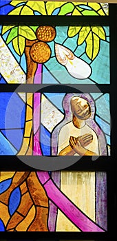 Colorful Doubting St Thomas Stained Glass Basilica Notre Dame Cathedral Tahiti