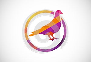 Colorful Dove bird into a circle. Mosaic pattern bird logo design
