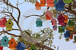 Colorful dovecotes on a tree