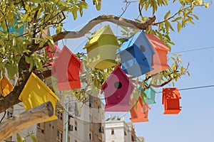 Colorful dovecotes on a tree