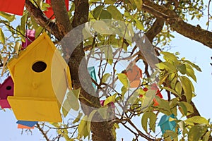 Colorful dovecotes on a tree