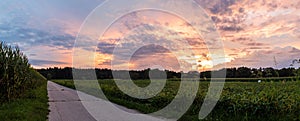 Colorful and dramatic sky panorama of sunset over road through fields