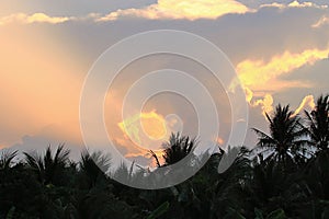 Colorful dramatic sky on twilight time against coconut palm trees on foreground.