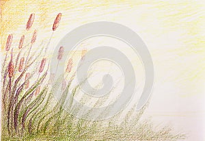 Colorful drawind of reeds on abstract spotted background
