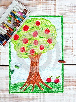 Colorful drawing: apple tree