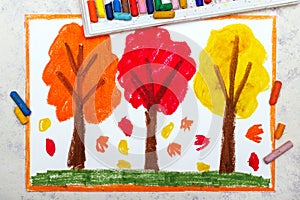 Colorful drawing: Autumn landscape, trees with yellow, orange and red leaves