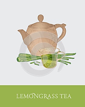 Colorful drawing of teapot, glass cup and fresh cut lemongrass stalks on gray background. Tasty aromatic beverage
