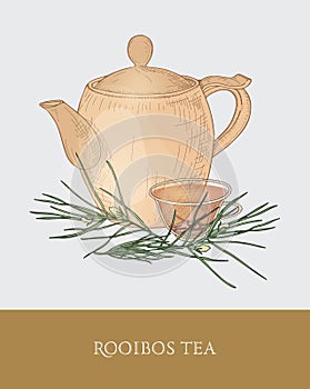 Colorful drawing of teapot, transparent cup with steeping rooibos tea, fresh leaves on gray background. Tasty aromatic