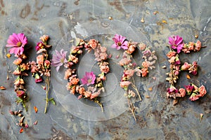 Colorful Dried Flower Petals Arranged in 'Hope' Text on Neutral Background