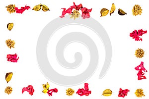 Colorful dried plants border frame on white background. Top view, flat lay.