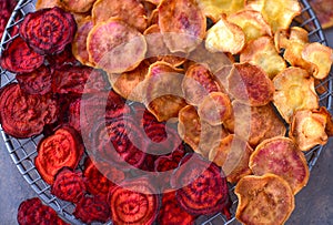 Colorful dried vegetable chips from dehydrator