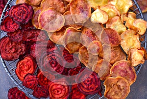 Colorful dried vegetable chips from dehydrator photo