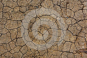 Colorful dry soil surface with deep black cracks