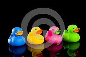 Colorful Ducks on Black