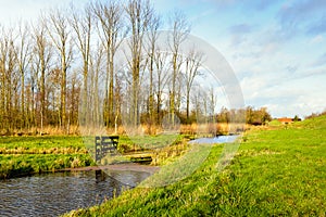 Colorful Dutch polder landscape in fall colors