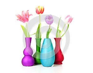 Colorful Dutch tulips in vases