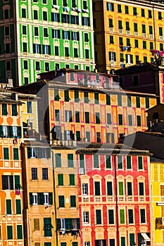 Colorful dwellings. Full background with multicolored buildings