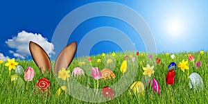 Colorful easter bunny background