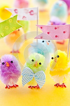 Colorful easter chicks