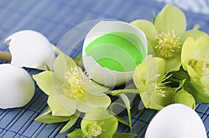 Colorful Easter decoration with egg shell filled with green tempera paint and hellebore