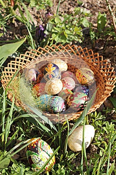 colorful easter eggs in a basket in green grass and leafs