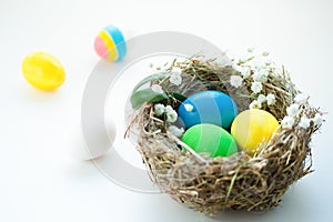 Colorful easter eggs in a bird `s nest on a blue background.