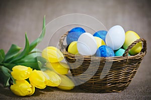 Colorful Easter eggs on a brown background